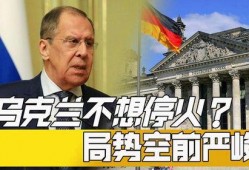 乌克兰局势最新爆料新闻,最新爆料揭示战事进展与各方动态