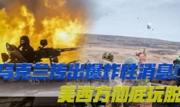乌克兰局势最新爆料新闻,最新爆料揭示战事进展与各方动态